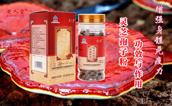 野生灵芝孢子粉和人工培育灵芝孢子粉的功效哪个好?-芝人堂灵芝孢子粉