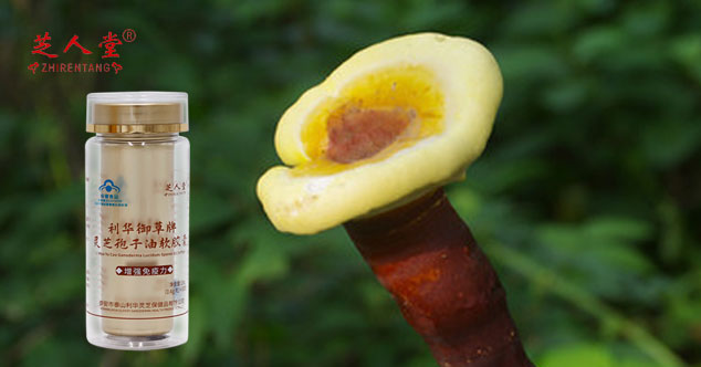 灵芝孢子油,芝人堂灵芝孢子油,灵芝孢子油直降600元
