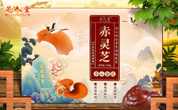 金边灵芝礼盒在春节期间怎么吃,金边灵芝,灵芝