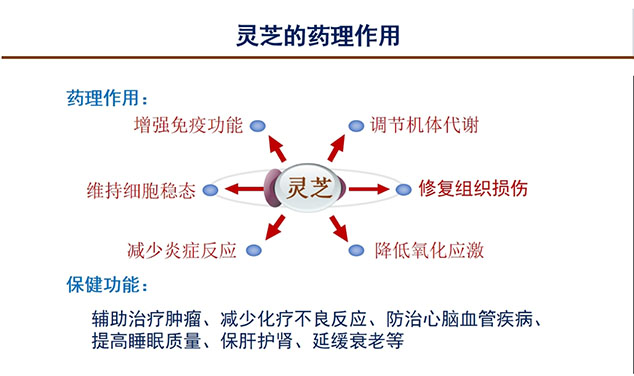 芝人堂联合北大杨宝学教授举办灵芝科普公益讲座(图6)