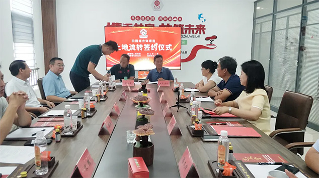 道朗镇与芝人堂深化合作 共筑“蘑力庄园”田园综合体新篇章(图9)